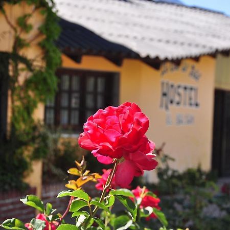 La Casa Del Arbol - Hostel Эль-Больсон Экстерьер фото