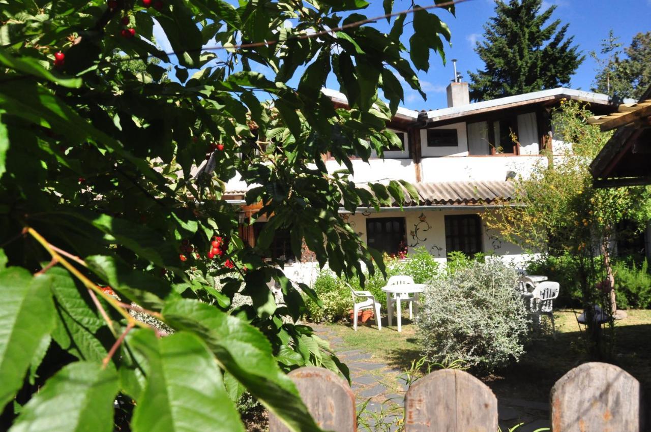 La Casa Del Arbol - Hostel Эль-Больсон Экстерьер фото