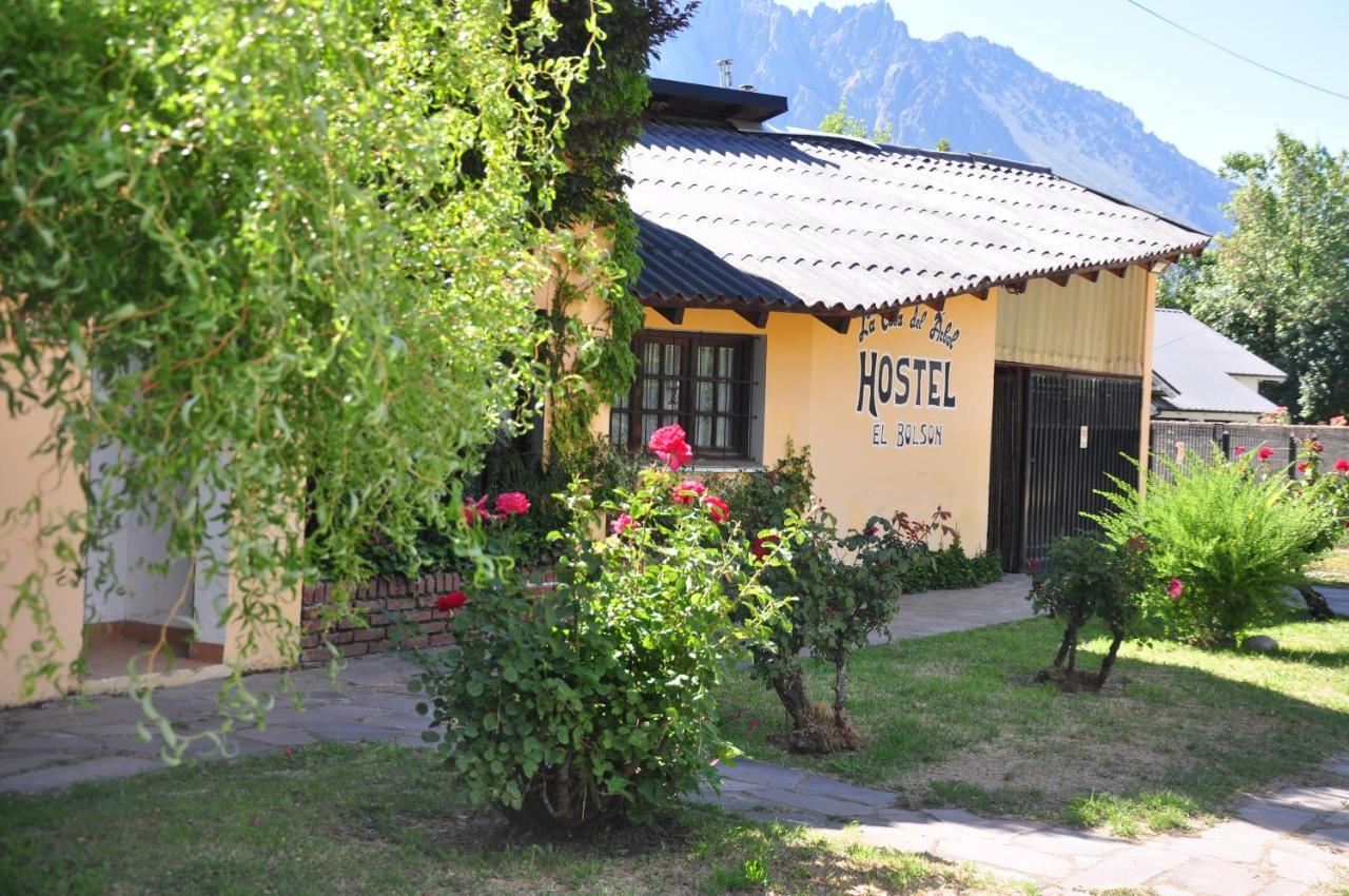 La Casa Del Arbol - Hostel Эль-Больсон Экстерьер фото