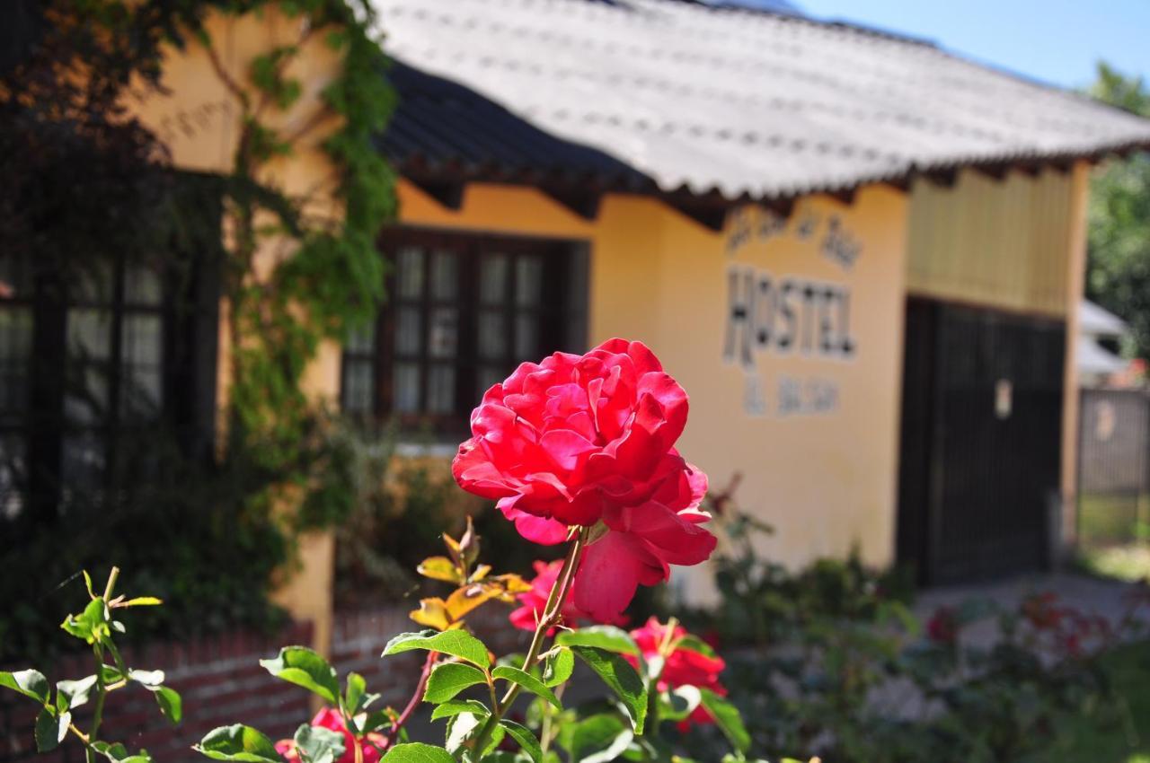 La Casa Del Arbol - Hostel Эль-Больсон Экстерьер фото